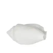 [OneWorld Collection] Shore White Sea Snail 20X11X9CM