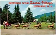 Postcard Greetings from Santa's Village Jefferson New Hampshire NH Reindeer