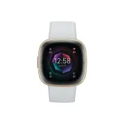 Fitbit Sense 2 Smart Watch - Blue Mist/Pale Gold