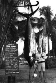 Pacific Blue Marlin In Kona In Hawaii 1961 Old Fishing Photo
