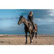Save 4.98%! Horse Riding 2 Hours Desert Adventure with Transfer - Marsa Alam