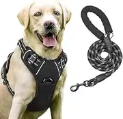 Monehet Dog Harness, No-Pull Dog Harness with 2 Leash Clips, Reflective Adjustable Soft Padded Vest with 5FT Dog Leash, Dog Seat Belt, and Storage Strap, Set for Small Medium Large Dogs (L)