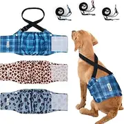 Dono Dog Nappies Male Reusable with Dog Suspenders, Washable Belly Bands for Dogs, Super Absorbent Dog Diapers for Male Dogs in Heat, Incontinence, Travel, Marking Issues, XS, S, M, L, XL,XXL