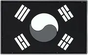 Ruoming 1 PCS PCS South Korea Flag Patches Hook and Loop Fastener PVC Rubber Tactical Military National South Korea Patch (Black and White)