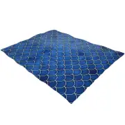 Silky Soft Beach Blanket 106X81 Inches - Scale Blue