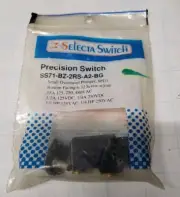 Selecta Switch SS71-BZ-2RS-A2-BG Switch
