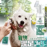 在飛比找松果購物優惠-寵物潔足泡沫 除臭洗腳液 免洗 犬貓通用 貓足部護理 防開裂