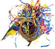 3195 Party Coco Bird Toy parrot cage toys cages conure cockatiel parakeet quaker