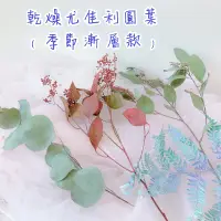 在飛比找蝦皮購物優惠-乾燥尤加利葉 圓葉 漸層尤佳利 手綁花 捧花 壓花 手作卡片