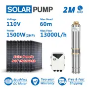 4” DC Solar Bore Pump Submersible 2HP 110V 1500W Brushless Motor DC Controller