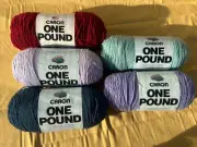 5 New Caron One Pound Yarn Cape Cod Blue Lavender Sage Lilac Claret 100% Acrylic