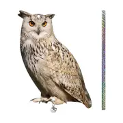 Owl Decoy Bird Deterrents Devices Scare Birds Away Pigeon Repellent For Garden