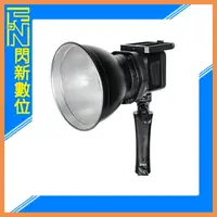 在飛比找樂天市場購物網優惠-Sirui C60R 60W RGB LED 攝影燈 補光燈