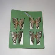 Pink Linen Studded/Pearl Butterfly Claw Clip 4 Pack AX65