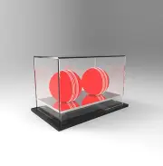 Cricket Double Ball Display Case Acrylic Perspex - SILVER