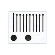 Austral Cylinder Head Bolt Set - 81038700
