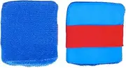 Dog Hair Remover | Dog Hair Remover for Couch | 2X Reusable Lint Brush Cleaner Pet Supplies, Detailing Supplies for Carpet, Bedding, Car Interior, Couch, Clothes