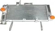 Engine Radiator Fit for Suzuki SV650N SV650 2003 2004 03 04 Aluminum Racing Radiator Heating Dissipation Radiator Grille