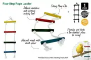 Small Pet Exercise Toy 4 Steps Ladder Swinging Hanging Climbing 52cm x 15cm