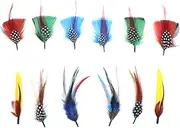 ECSiNG 12Pcs Hat Feathers Real Feather Decorative Feather Natural Feather DIY Accessories for DIY Making Crafts Clothing Decoration