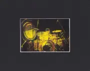 8X10" Matted Print Art Picture Led Zeppelin: John Bonham