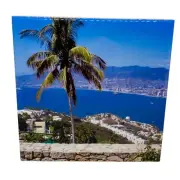 Acapulco Mexico Ceramic Tile Trivet Coaster Travel Souvenir 4" x 4"