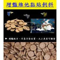 在飛比找蝦皮購物優惠-【樂魚寶】 波蘭 增豔維他黏貼飼料 燈科 底棲 孔雀 七彩神