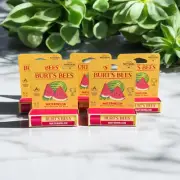 Burts Bees Lip Balm - Watermelon - 5 Pack