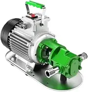 Self-priming Stainless Steel Oil Pump Gear High Viscosity Engine Edible Hydraulic Versatile Compatibility(Industrial Grade,220)