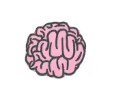 Pink Brain Patch Iron-On/Sew-On Embroidered Applique (1)