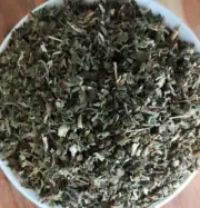 NEW PATCHOULI LEAF 100% PREMIUM QUALITY FRESH STOCK AUSTRALIAN SELLER
