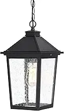 EMLIVIAR Outdoor Pendant Lights for Porch, Farmhouse Outdoor Haning Lighting for Gazebo, Seeded Glass Shade, Matte Black, AUX36H-M BK
