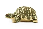 Plush Box Turtle Toy, Realistic Stuffed Animal, Soft Gift 12" F4001 BB53