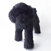 NINI & QUINO Toy Poodle (Black) Plush Toy with Posable Features, Size: 13 inches