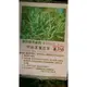 花花世界_香草植物--阿拉第薰衣草--(香料藥用植物)/5吋/高20-350公分/TC