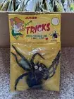 (36) A Full Case Of Trick Jumping Spiders
