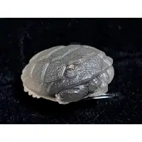 在飛比找蝦皮購物優惠-阿拉善瑪瑙黑糖包心 瑪瑙石雕 烏龜 水龜 陸龜 收工雕刻