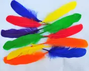 Loose Goose Pallet Feathers Package Mixed Colors As in Picture