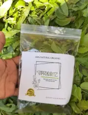 Nature Organic Fresh Neem Dried Leaves Azadirachta Indica Loose Leaf From Ceylon