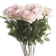 Pack of 12 Artificial 26" Long Stem Cream Pink Open Roses