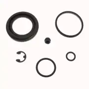Disc Brake Caliper Repair Kit-LT Carlson 41351