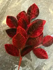 millinery velvet leaves embossed oxblood red shaded 1 spray