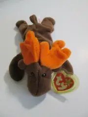 RARE TY BEANIE BABY "CHOCOLATE THE MOOSE" #4015 WITH ERRORS 1993