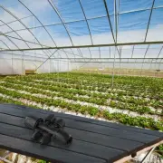 Multi Directional Garden Irrigation Connector for Effective Water Distribution