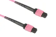OM4 MPO Multi-Mode Fiber Cable, 12 Fiber Type B, LSZH, 15 Meters (50 FT)
