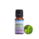 HERB24 🌱喉輪｜藍膠尤加利 100%純質精油 10ML