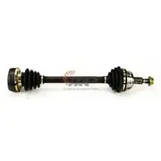 Transverse Drive Shaft