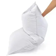 White Goose Feather Polyester Bed Pillows Queen/Standard Size Set of 2- Soft