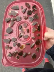 100+Preforms, Slices, Of Fire Agate From Slaughter Mountain, Mexico, Deer Creek.