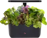 Indoor Garden Hydroponic System with LED Grow Light, Holds up to 6 Pods, Black